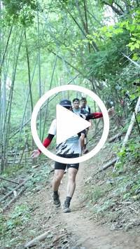 BIB:  <button type="button" onclick="openModal(28039779)" class="btn btn-primary btn-sm float-right" data-toggle="modal" data-target=".modal-high-quality">
                <i class="fa fa-download"></i> Download
                </button>